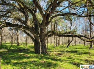 0 Sandy Creek Ranch Dr, Smithville, TX 78957