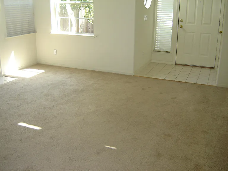 113 Quintana Ct — Photo 14