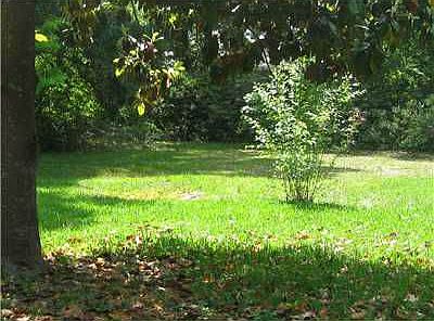 813 23rd backyard