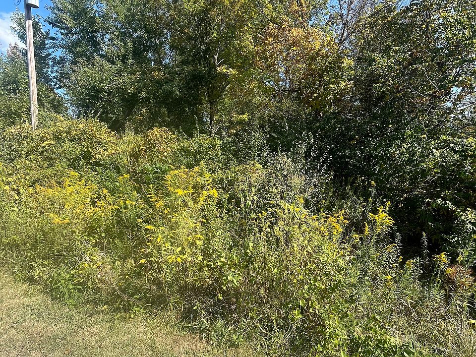 2nd image of 168 Jefferson Valley