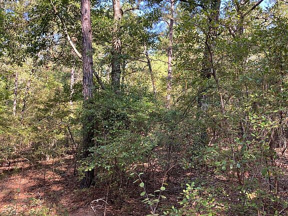 5th image of 0 Firetower Rd