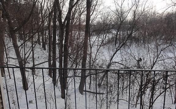 2nd image of 6684 Gretchen Ln N