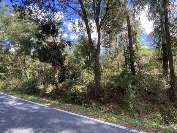 SW Sisters Welcome Rd, Lake City, FL 32025