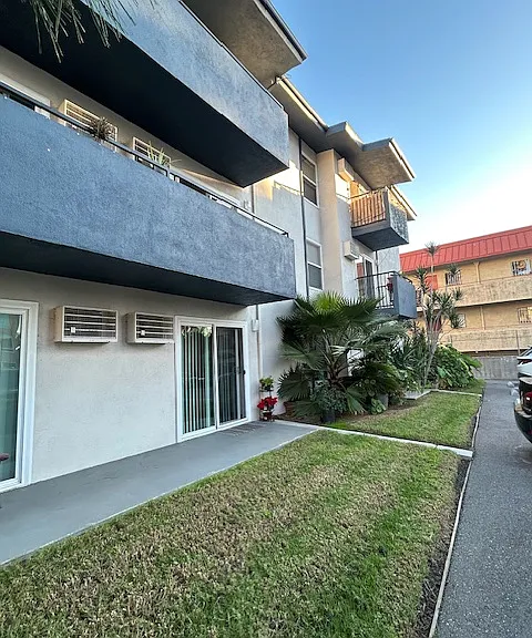 Front view