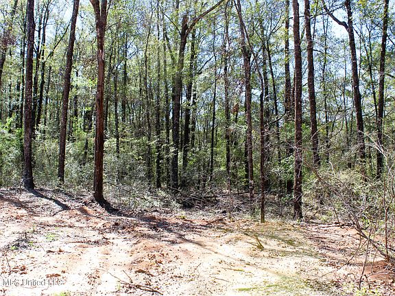 4th image of Oakhaven Dr