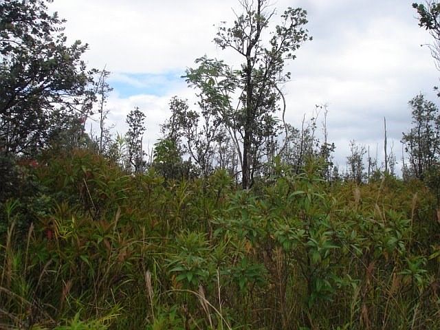 2nd image of 11th Ave Lot 1558
