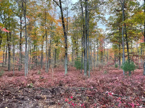 Par D North Cut, Roscommon, MI 48653