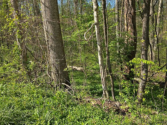 2nd image of Lots 29 30 Suncrest Dr