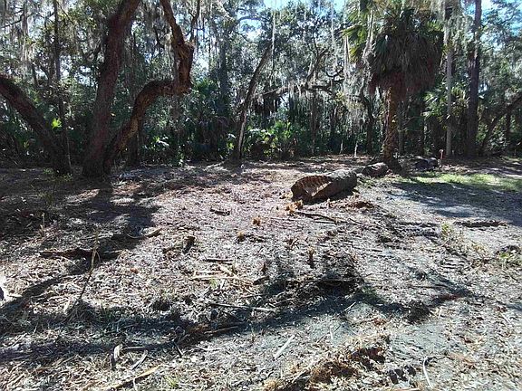 3rd image of Spring Creek Hw Block 5 Hwy Lot 4