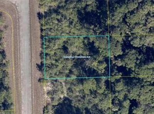 907 Ruby St, Labelle, FL 33935