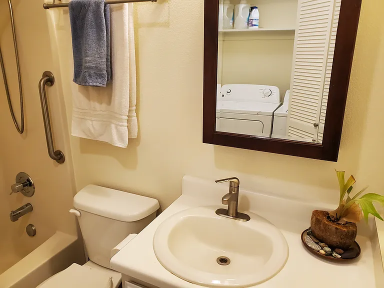 2438 Travis Ct #A — Photo 16