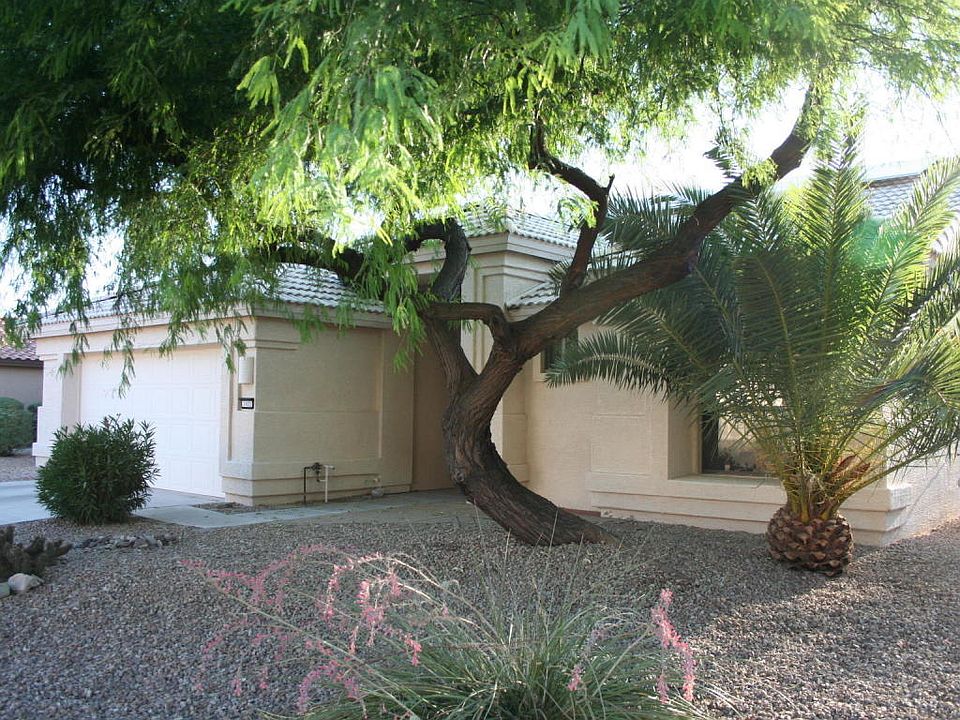 Large shade tree in front ya