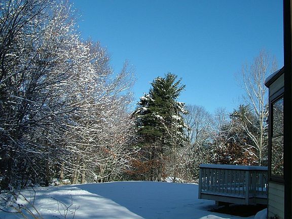 View from Dining Room Window