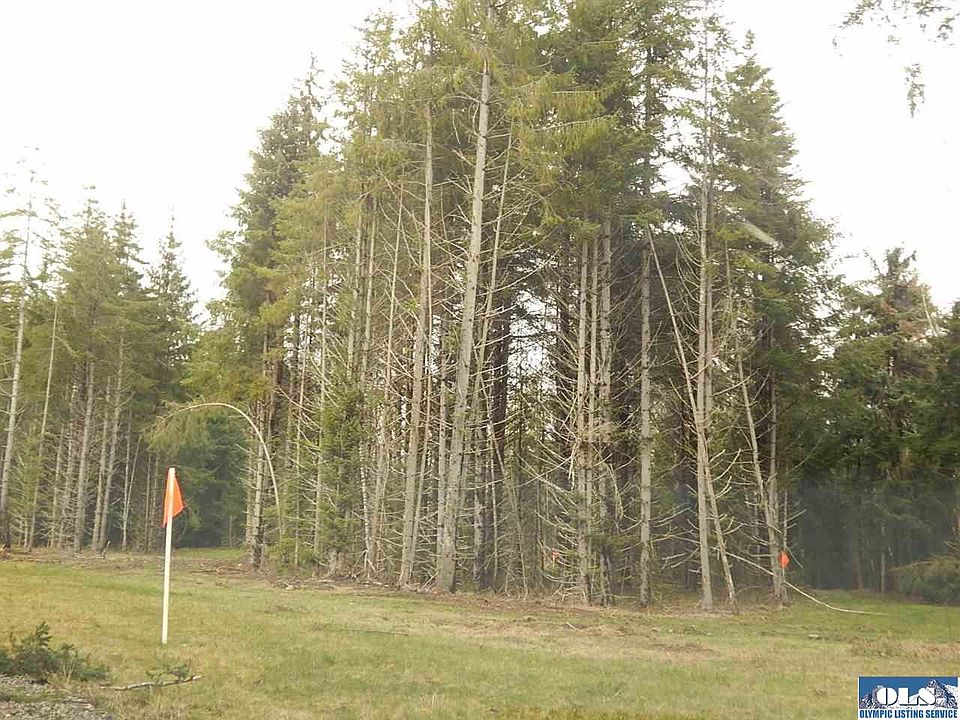 2nd image of 9999 Little Fir Ln Lot 2