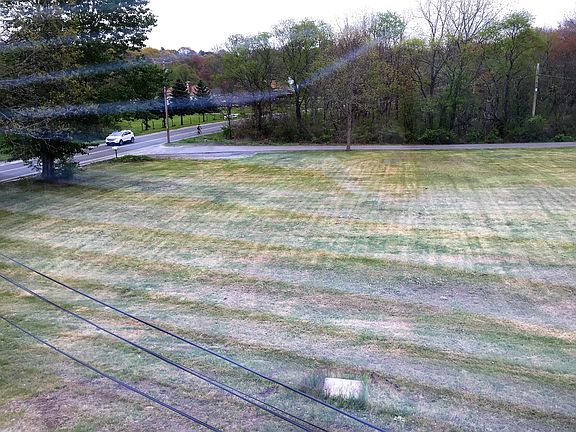 Yard Outside of Master Bedroom