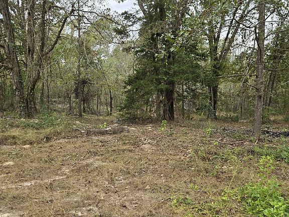 4th image of 0 County Road 474 W