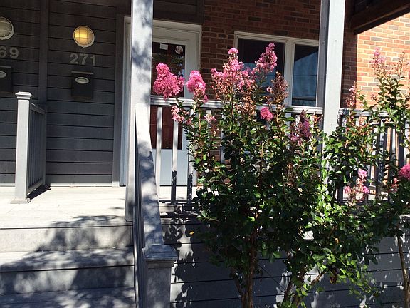 4th image of 271 E Montana St #1