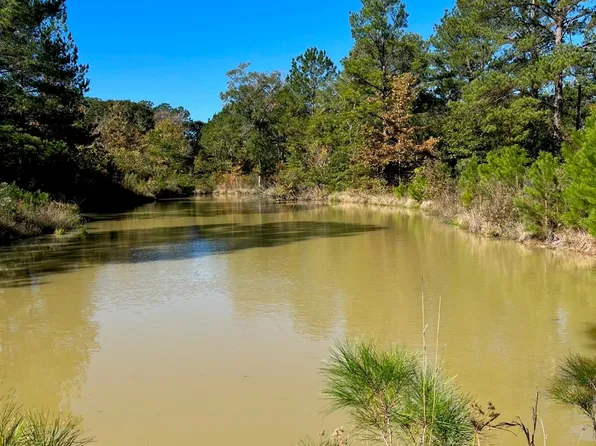 31517 Bohlssen Rd, New Caney, TX 77357