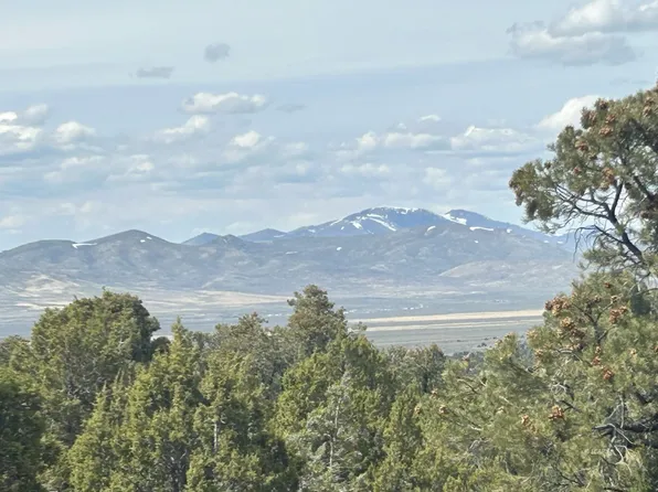 Wadel Springs Rd, Wells, NV 89835
