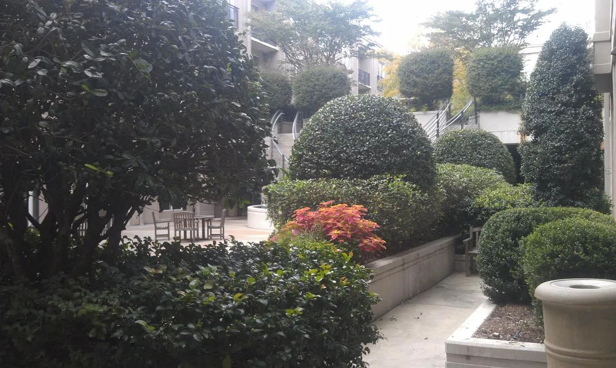 patio