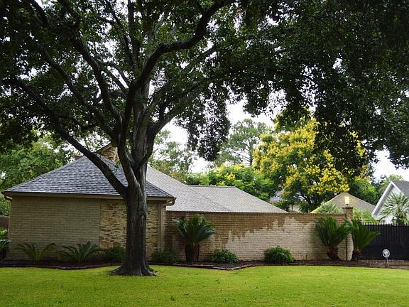 GIANT OAK TREE IN FRONT