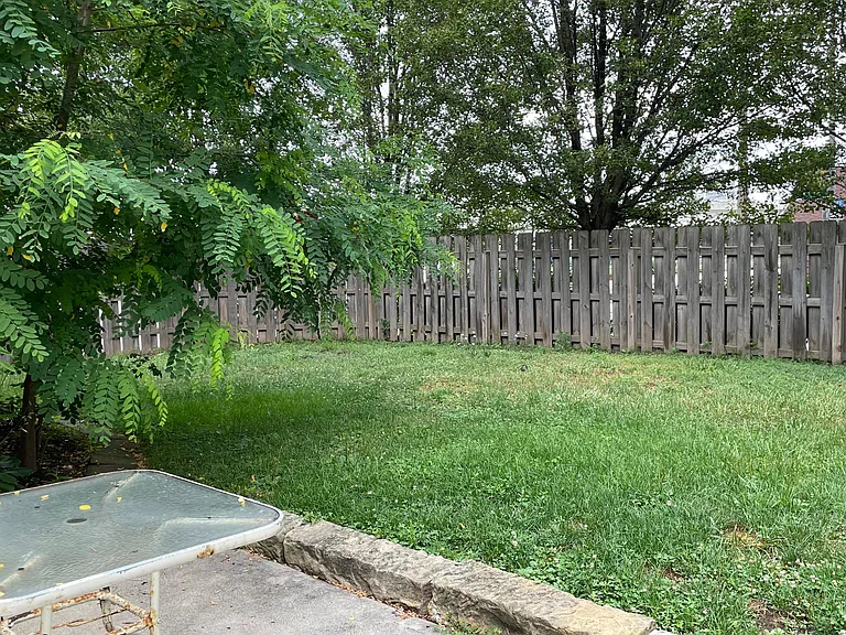Fenced in backyard