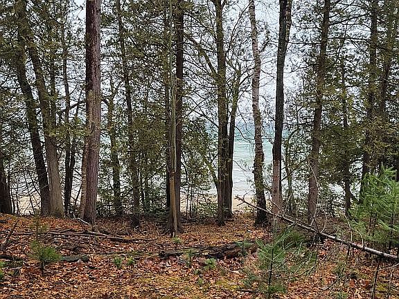 3rd image of 567 Yellow Birch Dr