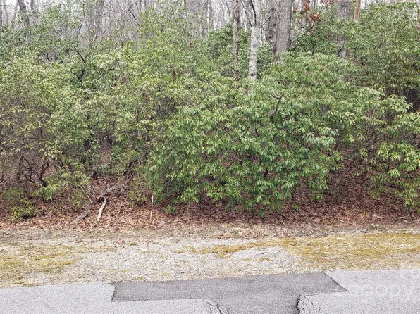 9999 Gagama Ct #16/19, Brevard, NC 28712