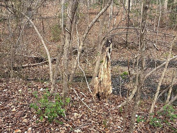 2nd image of 406 Truslow Rd