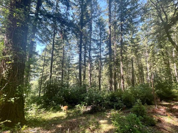 5865 Stover Rd, Blue Lake, CA 95525