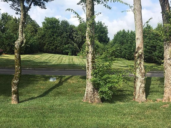 4th image of 1522 Charlottesville Blvd Lot 78