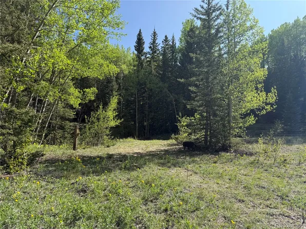 Lot 6843 Ryland Road LOT 6843, Fort Garland, CO 81133