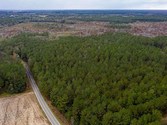3rd image of 37.2 Acres Old Pee Dee Rd. #OLD PEE DEE ROAD & PORTS CREEK