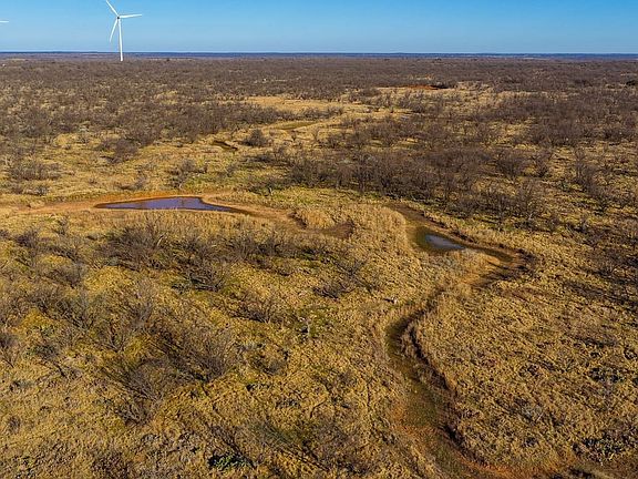 Dji 20260219090053 0738 D