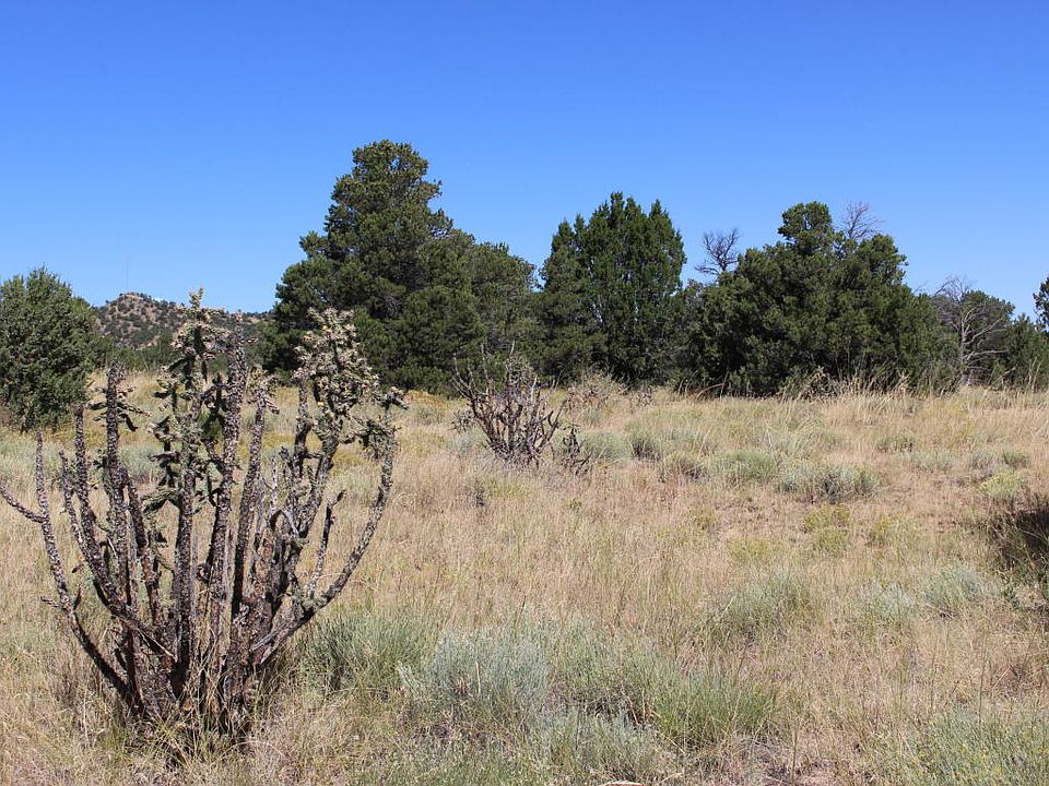 1st image of Black Diamond Park Lot 15