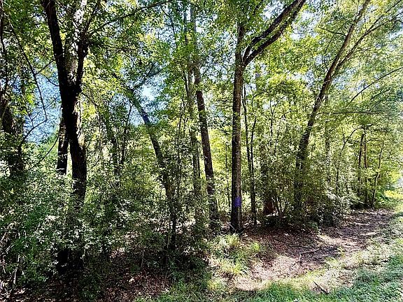 3rd image of 5 Rolling Hills Dr