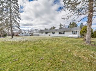 6956 Dewey Rd, Thompson, OH 44086