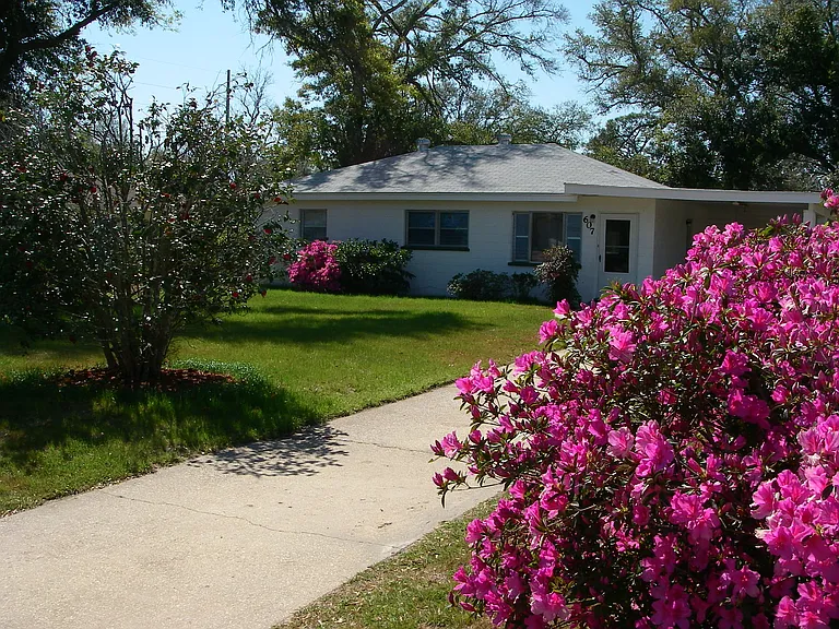 Spring pictures with azaleas in bloom