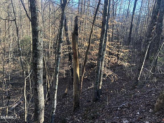 5th image of 68 Yellowwood Dr Lot 68