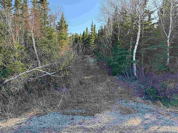 White Point Rd #10-2, Victoria, NS B0C 1G0 | MLS #202408006 | Zillow