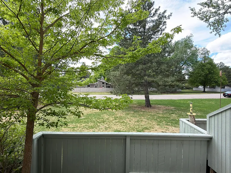 1037 Driftwood Dr — Photo 23