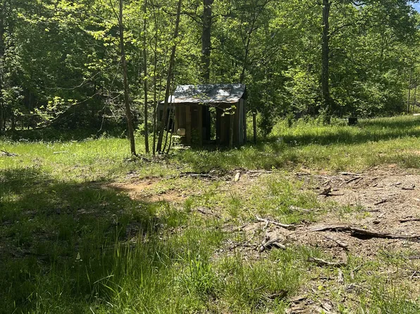 0 Little Leatherwood Rd, Vanleer, TN 37181