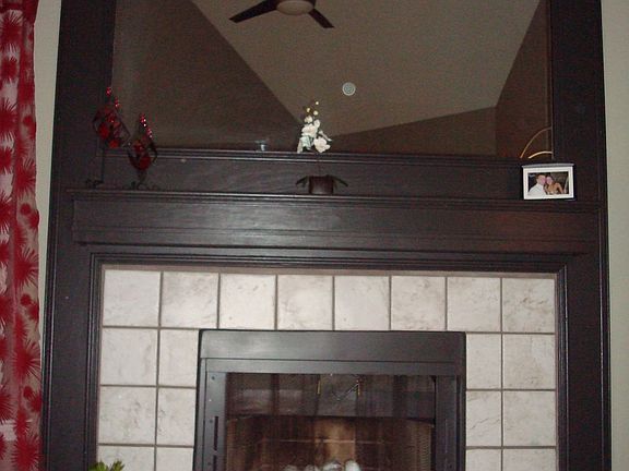 Fireplace in Living Room