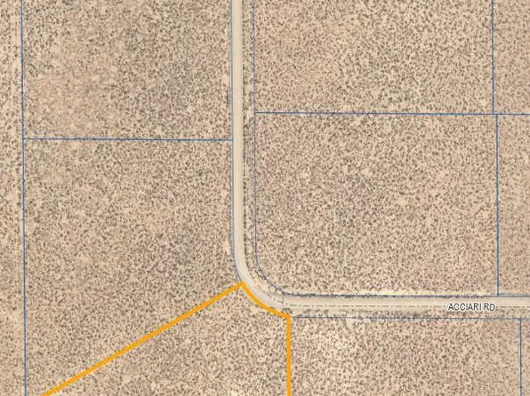 19 Acciari Rd, Smith, NV 89430