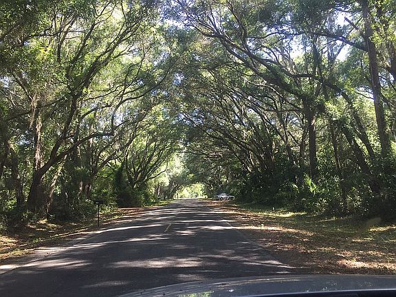Immediate front road