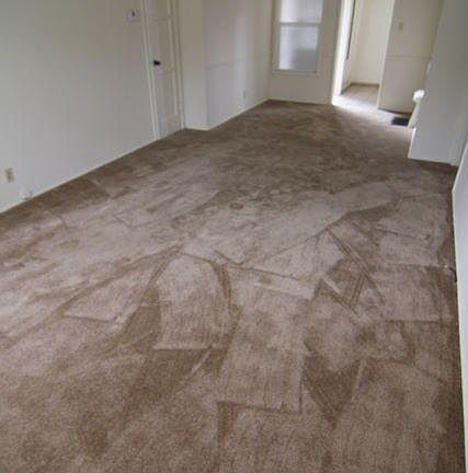 3rd image of 1813 N Glenoaks Blvd