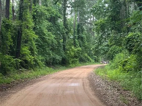 Stumps Camp Rd Lot 10.7, Winnfield, LA 71483
