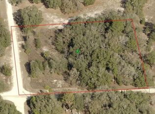 8789 N Carpathian Point, Dunnellon, FL 34433