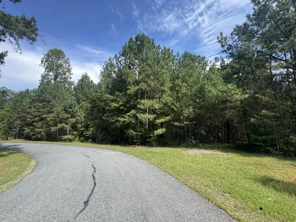 53 Lakeland Dr, Ellijay, GA 30540