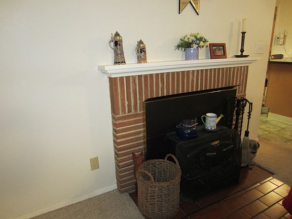 Wood burning fireplace